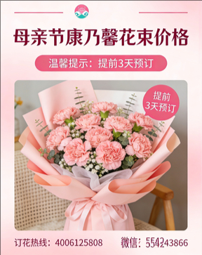 吉安吉水县花店母亲节康乃馨花束