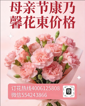 吉安吉水县花店母亲节康乃馨花束